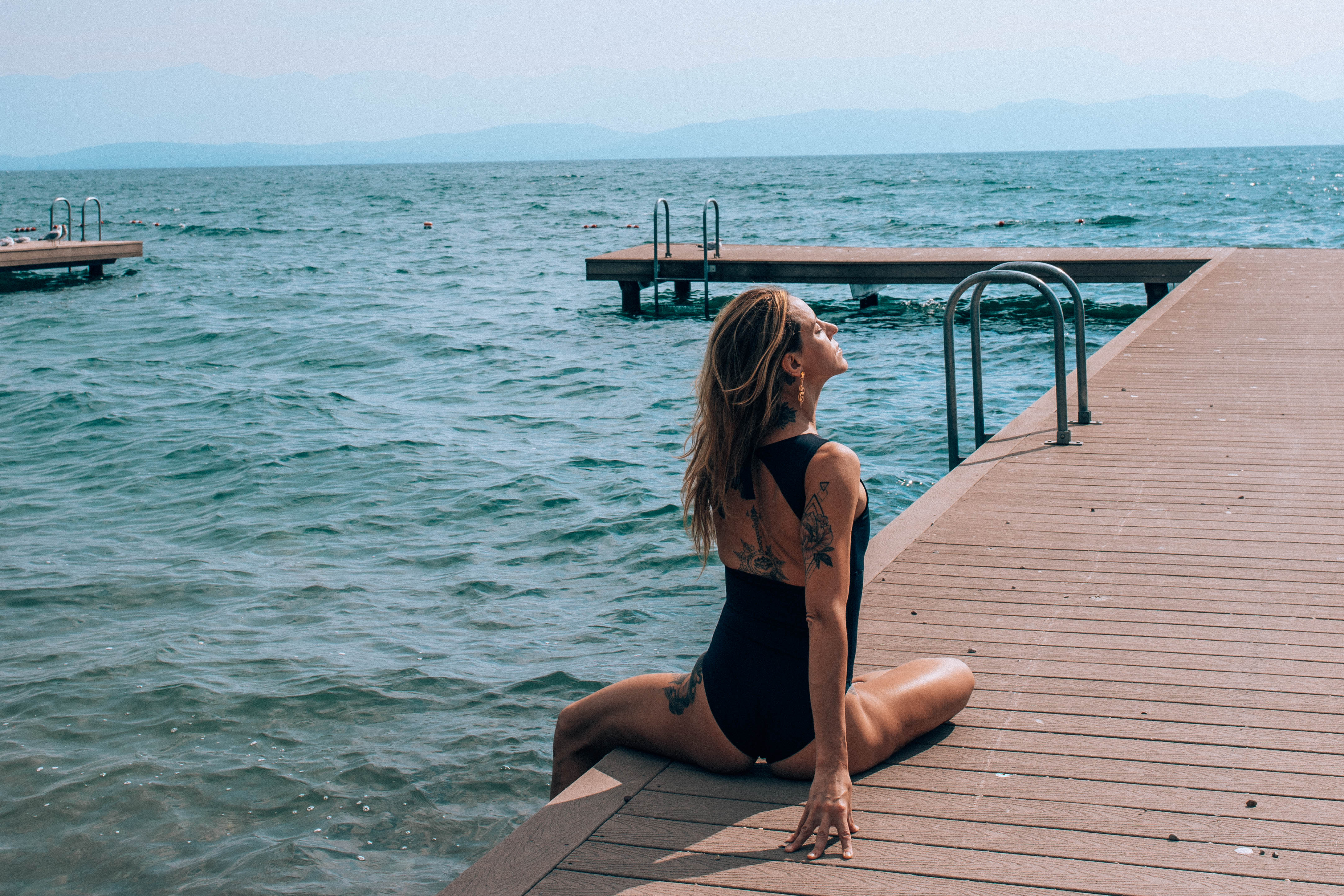 Evolver | Selena Garefino